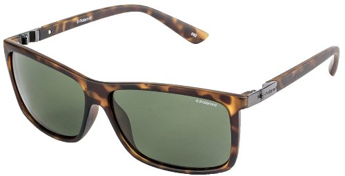 Buy Polaroid Wayfarer Sunglasses (Matte Tortoise) (P8346B) at Amazon.in