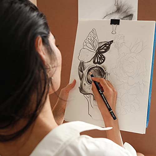 Brusarth Professional Charcoal Pencils Drawing Set 6 Pieces (Ex-Soft, Soft, Medium, & Hard) Charcoal Pencils For Drawing, Sketching, Shading, Artist Pencils For Beginners & Artists #TOP5