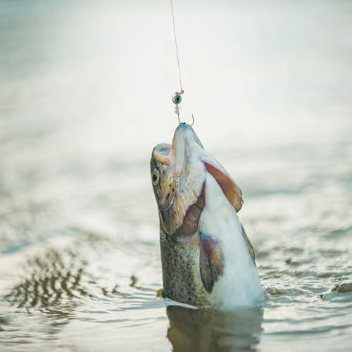 Seenelling 12 Pcs Fishing Jig Heads 3D Eyes Crappie Trout Bass Heads Jigs Tackle Lure Fishing Jigs Heads Suitable for Freshwater and Saltwater 3/16 oz 1/4 oz 3/8 oz 1/2 oz