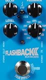 FLASHBACK 2 DELAY