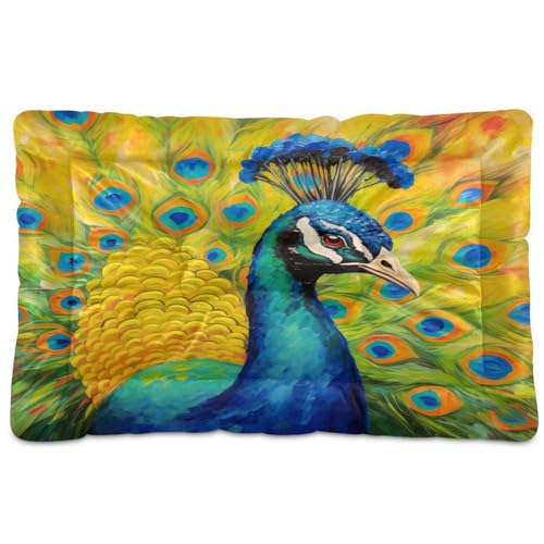 Coikll Peacock Oil Painter Pet Bed Pad Soft Dog Bed Mat with Anti-Slip Bottom, Machine Washable Crate Pad Mattress for Dog Sleeping- 24 * 18 inches