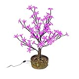 Bright Baum Bonsai Juno Cherry Blossom LED Tree 2' Purple