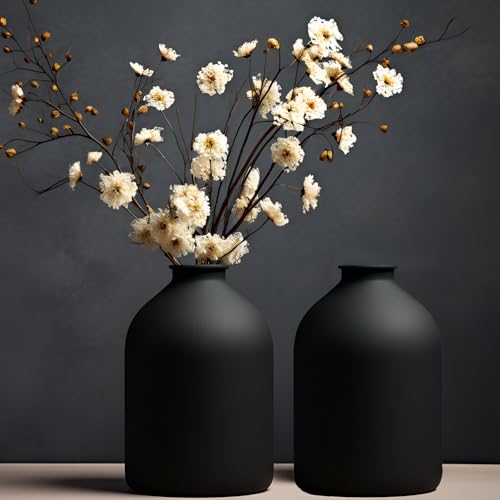 Ninehaoou 2 Pcs Metal Matte Black Vase 8.7 Inch Tall