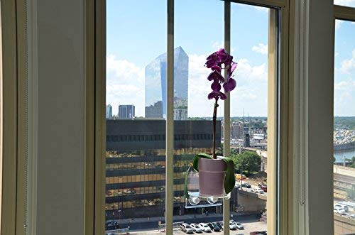 Labrinx Designs Small Suction Cup Shelf - Live Plants, Windows, And Bathrooms #TOP4