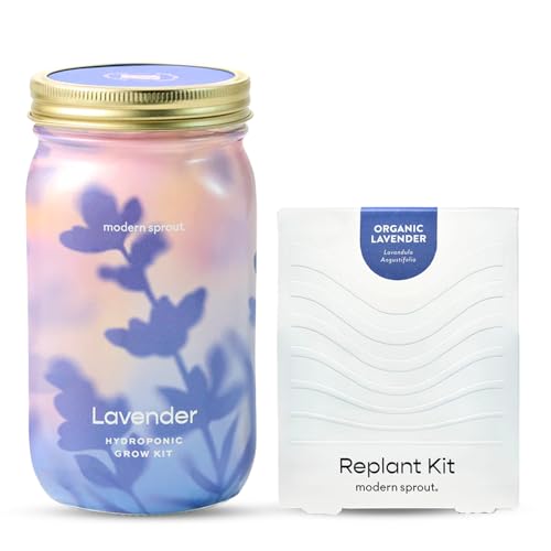 Modern Sprout Mason Garden Jar + Replant Kit - Self-Watering Hydroponics Growing System Kit w/Organic Herb Seeds - Jar Planter for Indoor Herb Garden - Seed Starter - Gift for Mother's Day - Lavender