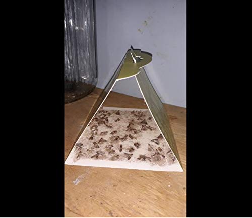 Superior Pantry Moth Traps With Pheromones Prime | No Insecticides | Safe, Non-Toxic And Child And Pet Friendly | Superior Attractant - 6 Traps #TOP6