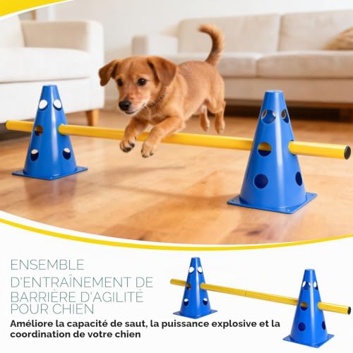 INQUIRLLY Ensemble D'agilité pour Chiens Ensemble de BarrièRes Enfichables pour Chiens, Kit d'obstacles RéglablesPour Le Les Sports Canins Les Sports équestres – vue 5