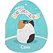 Squishmallows Original 12in Cam The Calico Cat in Graduation Cap – Official Jazwares Plush (Medium-Sized)