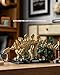 Nifeliz Stegosaurus Fossils Model Set, Dinosaur Skeleton Building Set with Display Base for Adults, Ideal Gift for Enthusiasts and Collectors (665 PCS, NF10353)