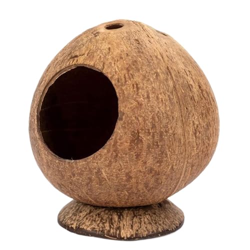 Häuser für Hamster- 13, 5 x 11, 9 cm natürliche Schale stabile atmungsaktive Basis | Hamsterhaus 13, 5 x 12 cm, Antirodentifizierung mit Anti- Kipp- Basis Habitat mit Anreicherung für Gerbil Hamster