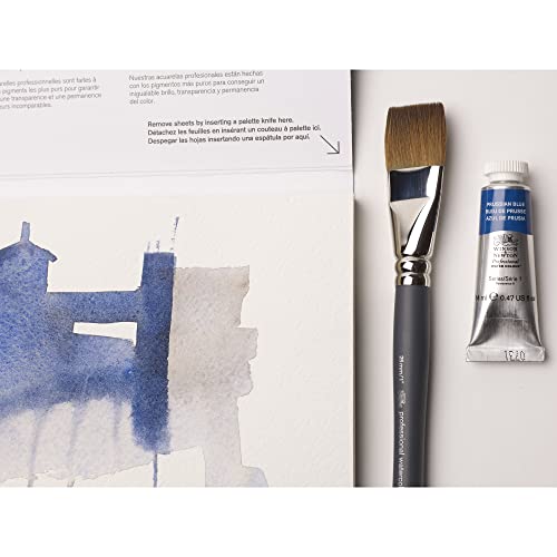 Winsor & Newton 8840302 Professional - Vernici ad