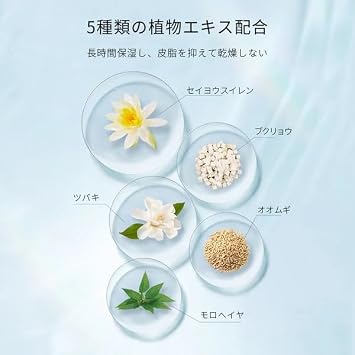 ZEESEA Shell Series #J01 Powder Loose Powder 0.2 oz 5 g #J01 Sebum Control #J01, Transparent, Anti-Glare, Waterproof, Anti-Collapse, Aroma Towel Included