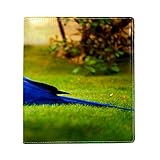 Couverture extensible en tissu sans adhésif pour livres scolaires jusqu'à 22,1 x 16 cm Motif oiseau d'aras Bleu