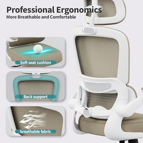 TRALT Office Chair Ergonomic Review