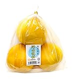 熊本県産 河内晩柑 3個