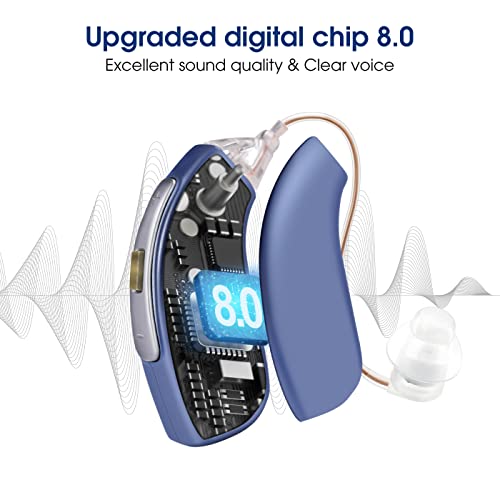 Britzgo Hearing Aids With Noise Cancellation,Rechargeable Hearing Amplifier,2Hr Fast Charging #TOP2