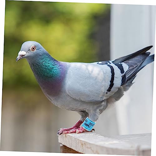NUSITOU 100 Pçs Tornozeleira De Pombo De Alumínio Plástico Céu-Azul Anéis De Perna De Pássaro Bandag