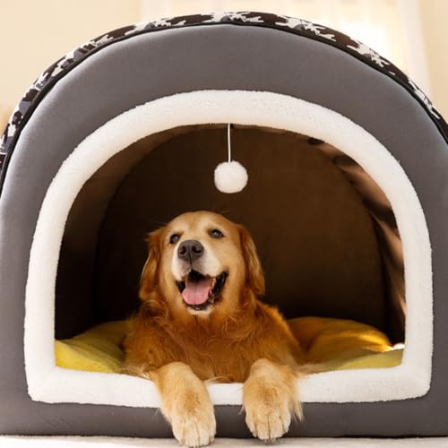 �y�b�g�x�b�h �h�[���^ �y�b�g�n�E�X ���L�p �~�p �� �x�b�h �����p �����^�� �L �n�E�X �􂦂� �L�x�b�h ���������� �� �n�E�X ����~�� �ӂ�ӂ� �N�b�V�����t�� �ʋC�� ���K �h���΍� �O���[T