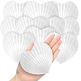 Value Pack: you'll receive 24 heart-shaped scallop shells, plenty for your decorative needs and sharing with family and friends Large Size: each heart is uniquely hand cut, measuring 3.94 inches/ 10 cm; Feel free to paint or create your own unique sc...