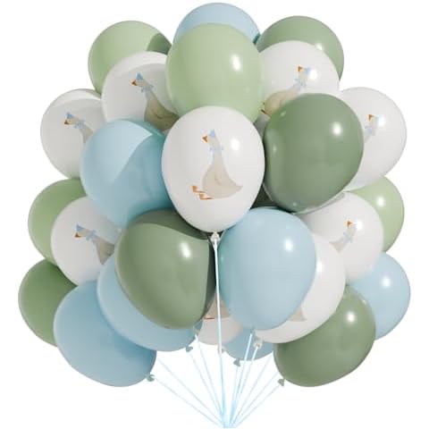 Motionchic 60 Pcs Bow Goose Balloons Set, 12 Inch Pastel Pink Latex Balloons One Silly Goose Birthday Party Decorations Baby Shower Decor(Blue) Cover