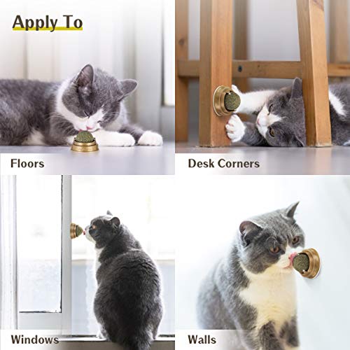 VILLCASE Bola de erva de gato, brinquedo giratório interativo de folha de hortelã natural pura, para