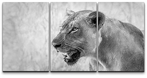 wall26 Canvas Print Wall Art Set Black & White African Lioness Portrait Animals Wildlife Photography Realism Rustic Scenic Relax/Calm Nature for Living Room, Bedroom, Office - 16"x24"x3 Panels