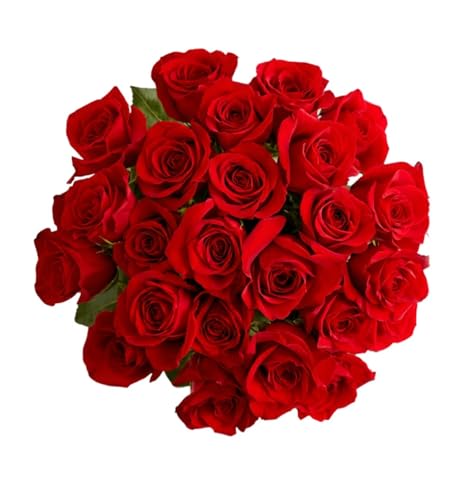 1800 Flowers – 36 Stem Red Roses (Bouquet Only) |