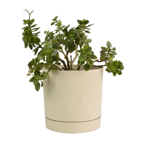 B2C Plant Pots Indoor Outdoor Plastic Marble Concrete Flowerpot Small Medium Large Tubo 5 Colours (40 cm, Cream)