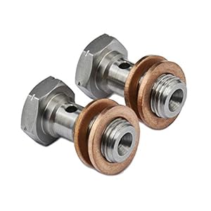 PrecisionGeek Banjobout M10x1,00mm Roestvrij Staal Remklauw/ Hoofdregelcilinder L = 20mm 2 stuks