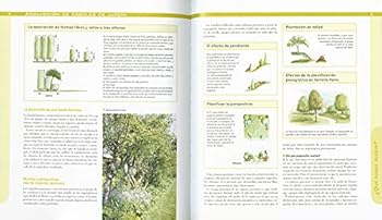 Árboles para el jardín