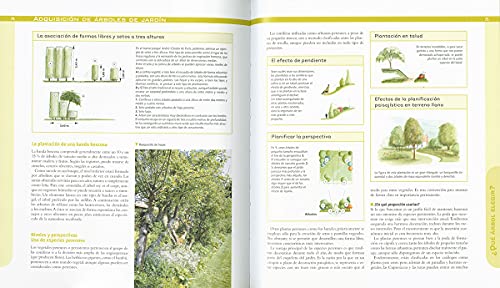 Árboles para el jardín