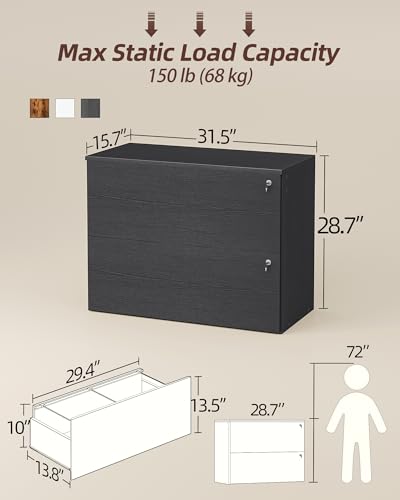 TIQLAB 2 Drawer Mobile File Cabinet, Filing Cabinet Home Office for Letter, Legal, A4 Size, Under Desk Lateral File Cabinet, Black