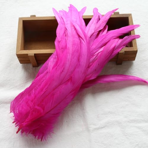 Piceioep Plumage Artisanal élégant, 40 pièces, 25 à 30Cm, Design pour Accessoires de Mode et décoration d ' événements, Plumes Artisanales Longues – vue 4