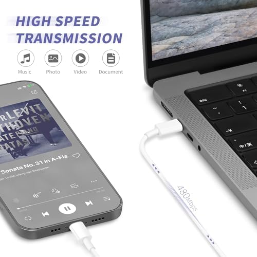 iPhone Charger Fast Charging,[MFi Certified] 2Pack 20W Type C Fast Charger Block with [10FT&6FT] USB C to Lightning Cable Compatible for iPhone 14/13/12/11 Pro Max/Xs Max/XR/X,iPad - 4