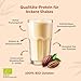 STRIVE CACAO PROTEIN | Vegan | 100% BIO | 500g Natur Eiweiß mit zertifiziertem Bio Kakao | Ohne Süßungsmittel & Aromen | Ohne Soja & Gluten | Mehrkomponenten 4K | Made in Germany DE-ÖKO-039