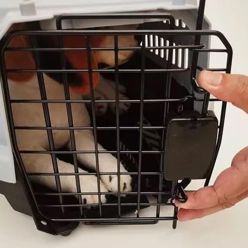 Caixa de Transporte Grande para Cães Pets até 10kg Carro Navio Avião Resistente Segura para Viagens