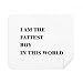 I Am The Fattest Boy Cleaning Cloth Screen Cleaner 2pcs Suede Fabric