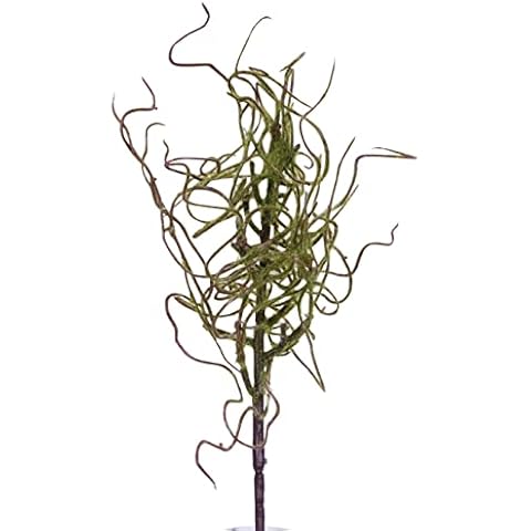 BLOOM Artificial Single Withered Moss Stem 46cm Cover