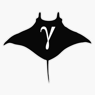 MAGNET Gamma Ray Magnetic Vinyl Sticker Decal Magnet 5"