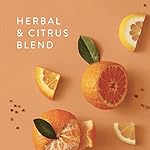Thymes Hand Wash Refill - Scented Liquid Hand Soap Refill - Deeply Cleansing & Hydrating Formula - Plant-Based Skin Care - Refreshing Citrus Blend (Mandarin Coriander, 24.5 fl oz) - Image 5