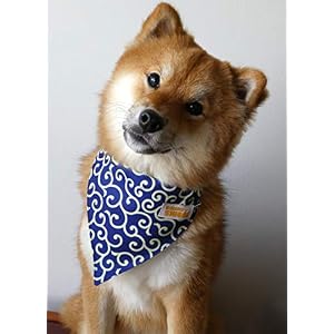 Kawaii Shiba Co. Karakusa Japanese Shiba Inu Dog Bandana with Adjustable Collar (Blue) Kawaii Shiba Co Karakusa Japanese Shiba Inu Dog Bandana with Adjustable Collar Blue