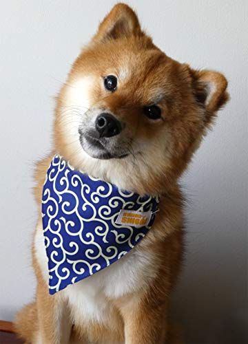 Kawaii-Shiba-Co-Karakusa-Japanese-Shiba-Inu-Dog-Bandana-with-Adjustable-Collar-Blue Kawaii Shiba Co Karakusa Japanese Shiba Inu Dog Bandana with Adjustable Collar Blue