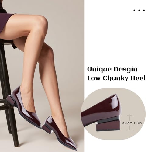 Image of LingxiaUne Dress Shoes for Women, Comfortable Dressy Flats, Womens Chunky Heel Pumps with Arch Support and Pointed Toe