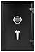 Amazon Basics Fire Resistant Security Safe with Programmable Electronic Keypad, Secure Valuables and Important Documents, 16.93