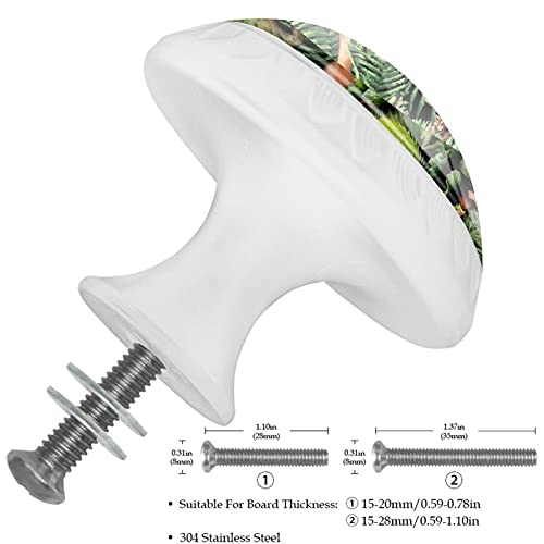 Boutons dinosaure vert pour transformer une commode terne : lot de 12 ronds