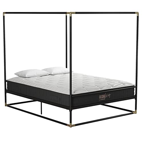 Cosmoliving By Cosmopolitan Cosmoliving Celeste Canopy Metal, Queen Size Frame, Black/Gold Bed #TOP7