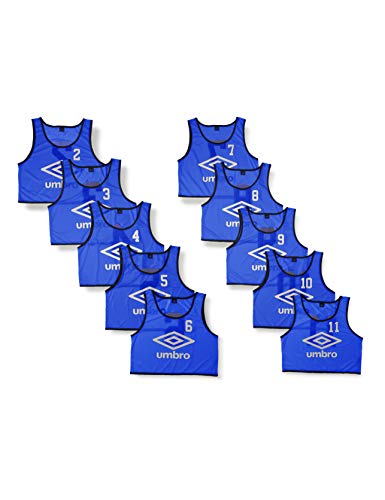 [�A���u��] T�V���c �X�g�����O�r�u�X 10P �u���[(BLU) AD-F free size
