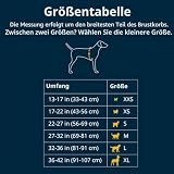 Ruffwear Float Coat Hundejacke, Auftrieb und Auftrieb, Hundeweste für sicheres Schwimmen, Bootfahren, Wassersport, Red Sumac, Large