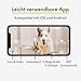 Furbo 360° Hundekamera [Basic Kamera]: Haustierkamera mit App, Rotierende 360° Sicht, Farbnachtsicht, Tracking, Leckerliwurf, Bell-Alarm, der Favorit von Haustierbesitzern auf der ganzen Welt