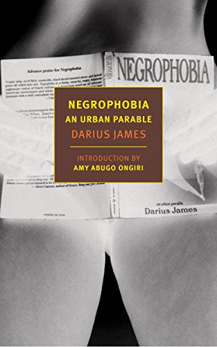 Negrophobia: An Urban Parable (New York Review Books Classics) #TOP12